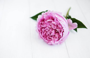 Beyaz ahşap bir masa üzerinde pembe şakayık çiçeği