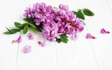 Akasya çiçekler eski ahşap arka plan üzerinde