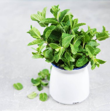 Vazo ile eski bir arka plan üzerinde taze nane