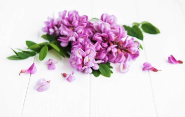 Akasya çiçekler eski ahşap arka plan üzerinde