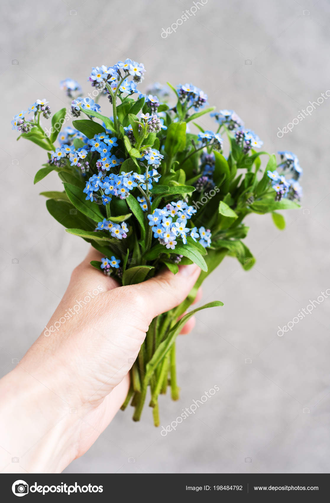 青忘れて私は花ではなく手に ストック写真 C Almaje 青忘れて私は花ではなく手に ストック写真 C Almaje