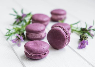 macarons lavanta lezzet ve taze lavanta çiçekleri ile Fransız