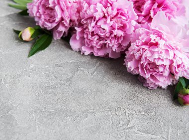 güzel pembe şakayık çiçekleri taş zemin üzerine