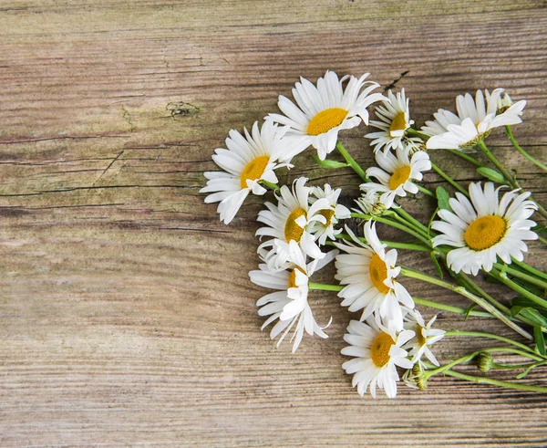 Chamomile Flowers Old Wooden Background — Stock Photo, Image