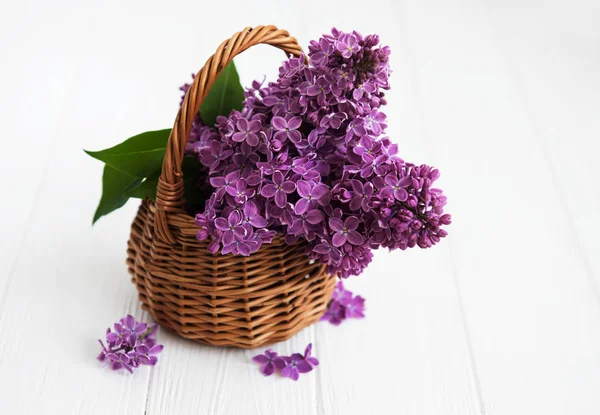 sepet ve Lila çiçek şube