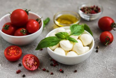 İtalyan gıda maddeleri - mozzarella, fesleğen, domates ve baharatlar