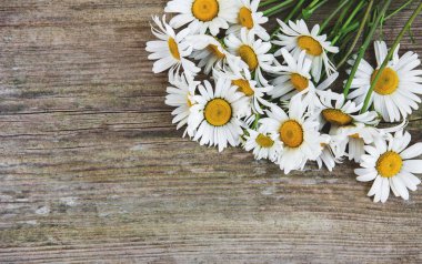 eski ahşap arka plan üzerinde papatya çiçeği