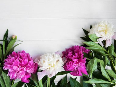 güzel pembe ve beyaz şakayık çiçekleri Beyaz ahşap zemin üzerinde