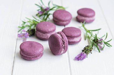 macarons lavanta lezzet ve taze lavanta çiçekleri ile Fransız
