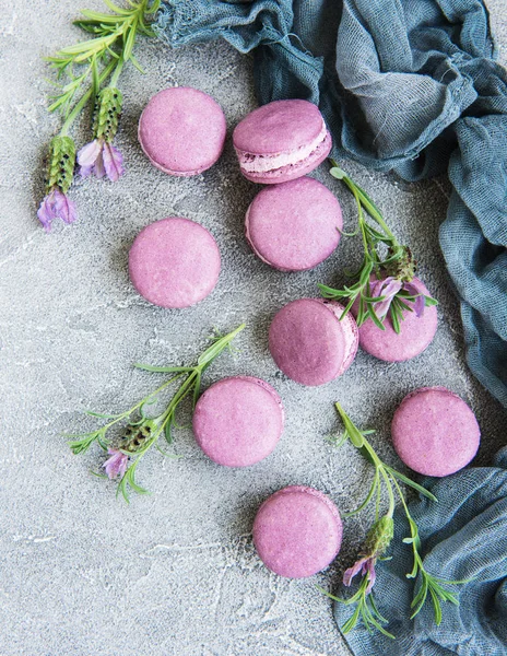 Macarrones Franceses Con Sabor Lavanda Flores Frescas Lavanda — Foto de Stock