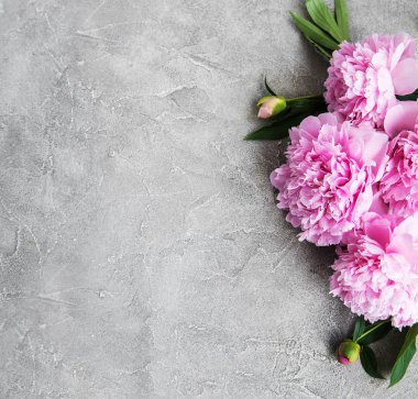 güzel pembe şakayık çiçekleri taş zemin üzerine