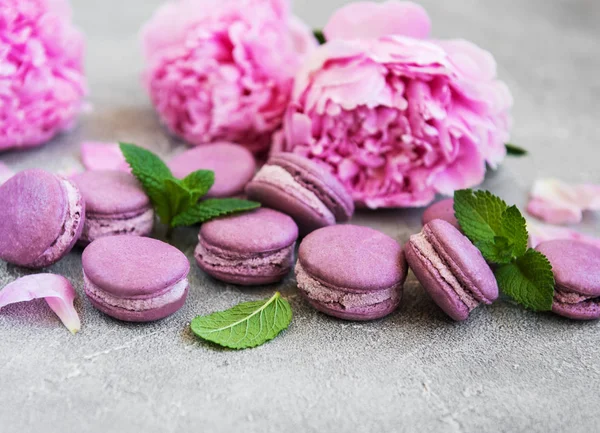 Rosa Pfingstrose Mit Macarons Auf Steinhintergrund — Stockfoto