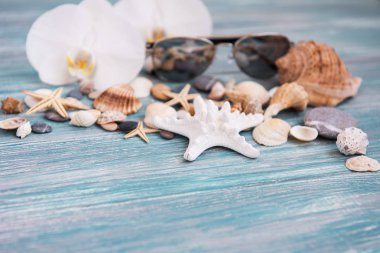 Kabukları ve ahşap arka plan üzerinde güneş gözlüğü