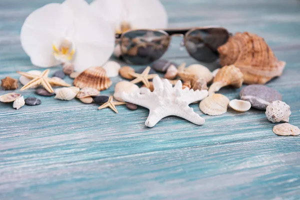 Shells Sunglasses Wooden Background — Stock Photo, Image