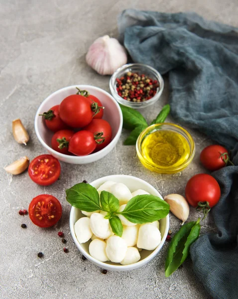 İtalyan gıda maddeleri - mozzarella, fesleğen, domates ve baharatlar
