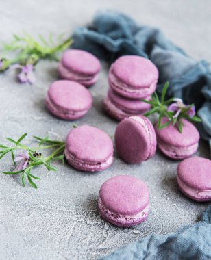 macarons lavanta lezzet ve taze lavanta çiçekleri ile Fransız