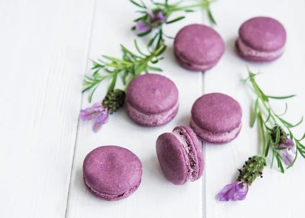 Macarrones Franceses Con Sabor Lavanda Flores Frescas Lavanda — Foto de Stock