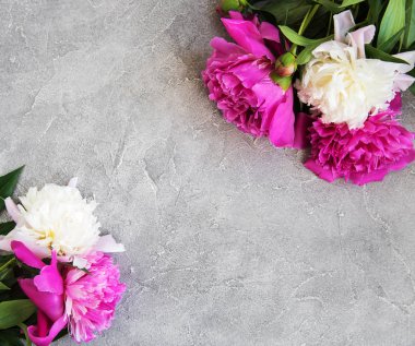 güzel pembe ve beyaz şakayık çiçekleri taş zemin üzerine