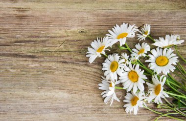 eski ahşap arka plan üzerinde papatya çiçeği