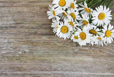 eski ahşap arka plan üzerinde papatya çiçeği