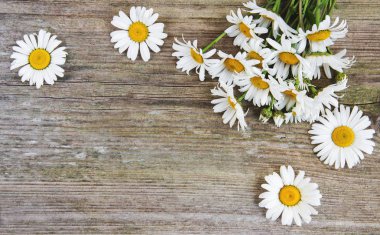 eski ahşap arka plan üzerinde papatya çiçeği