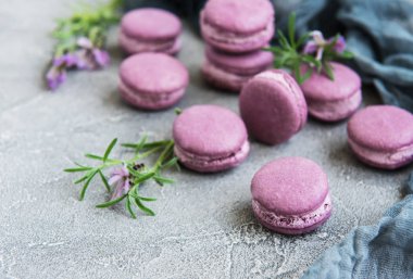 macarons lavanta lezzet ve taze lavanta çiçekleri ile Fransız