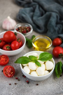 İtalyan gıda maddeleri - mozzarella, fesleğen, domates ve baharatlar