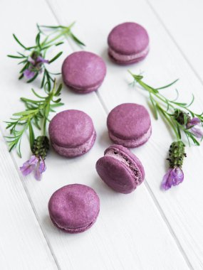 macarons lavanta lezzet ve taze lavanta çiçekleri ile Fransız