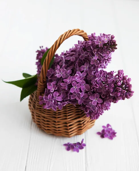 sepet ve Lila çiçek şube