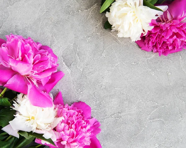 Belles Fleurs Roses Blanches Pivoine Sur Fond Pierre — Photo