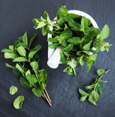 Siyah bir taş zemin üzerine taze yeşil nane