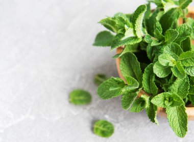 Eski bir arka plan üzerinde taze nane ile kase