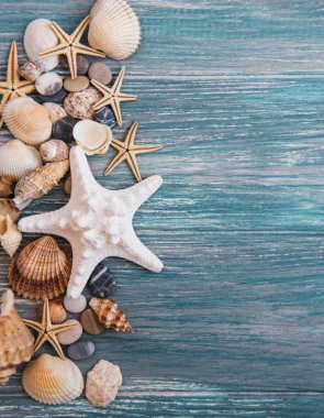 Deniz kabukları tatil arka plan olarak ahşap bir masa üzerinde