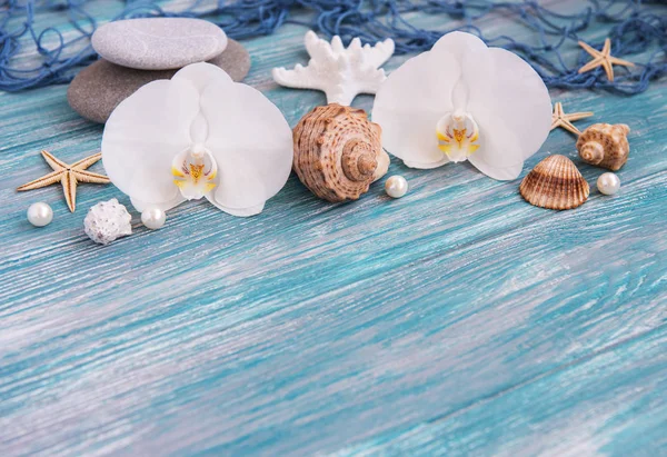 Shells Starfish Orchids Wooden Background — Stock Photo, Image