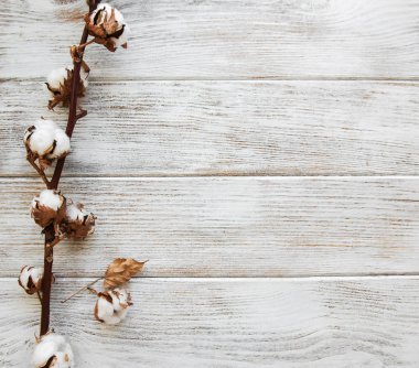 rustik ahşap masaya beyaz pamuklu çiçek