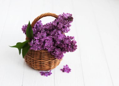 sepet ve Lila çiçek şube