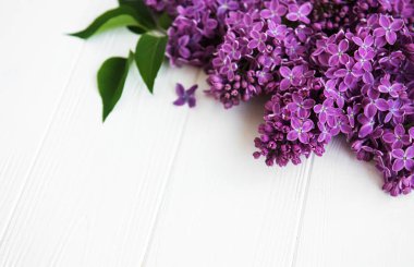 Beyaz ahşap zemin üzerinde Eflatun çiçekler