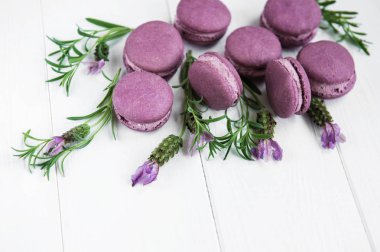 macarons lavanta lezzet ve taze lavanta çiçekleri ile Fransız