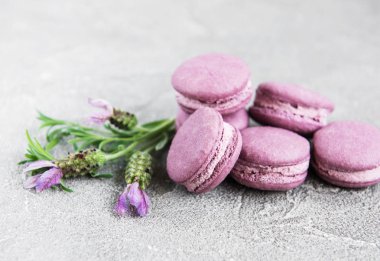 macarons lavanta lezzet ve taze lavanta çiçekleri ile Fransız