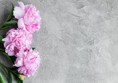 güzel pembe şakayık çiçekleri taş zemin üzerine