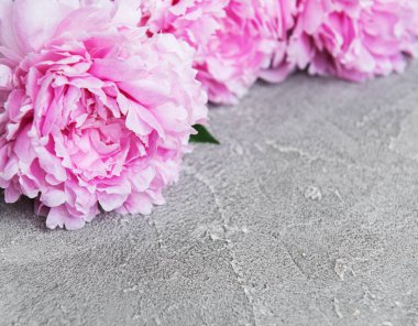 güzel pembe şakayık çiçekleri taş zemin üzerine