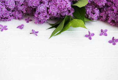 Beyaz ahşap zemin üzerinde Eflatun çiçekler