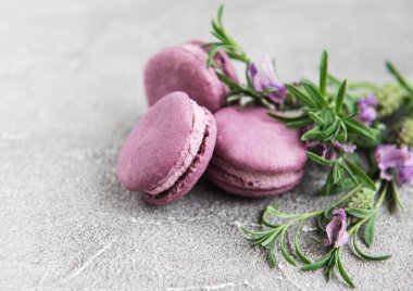 macarons lavanta lezzet ve taze lavanta çiçekleri ile Fransız