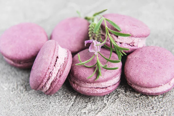 Macarrones Franceses Con Sabor Lavanda Flores Frescas Lavanda — Foto de Stock