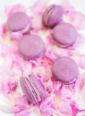 Beyaz ahşap bir masa üzerinde macarons ile pembe şakayık yaprakları