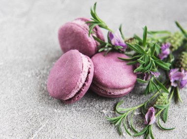 macarons lavanta lezzet ve taze lavanta çiçekleri ile Fransız