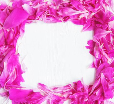 pembe peony çiçek yaprakları bir beyaz ahşap tablo 