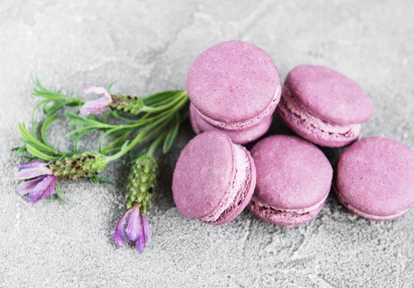 Macarrones Franceses Con Sabor Lavanda Flores Frescas Lavanda — Foto de Stock