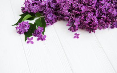 Beyaz ahşap zemin üzerinde Eflatun çiçekler