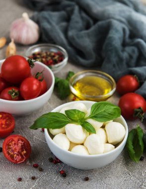 İtalyan gıda maddeleri - mozzarella, fesleğen, domates ve baharatlar
